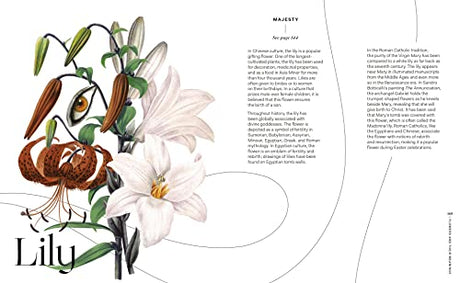 Flowers and Their Meanings: The Secret Language and History of Over 600 Blooms (A Flower Dictionary) - Retail Maharaj