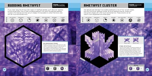Minecraft Official Blocks Guide: Minecraft Official Blocks Guide: the definitive compendium to every block in Minecraft – the perfect gift for gamers of all ages! - Retail Maharaj