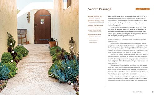Striking Succulent Gardens: Plants and Plans for Designing Your Low-Maintenance Landscape [A Gardening Book] - Retail Maharaj