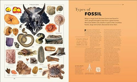Knowledge A Visual Compendium: Making Sense of our World - Retail Maharaj