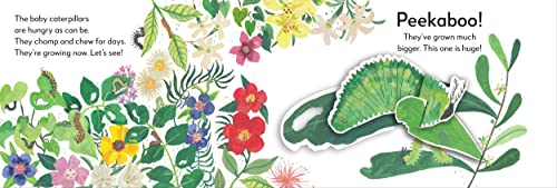 Pop-Up Peekaboo! Butterfly: Pop-Up Surprise Under Every Flap! - Retail Maharaj