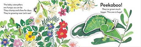 Pop-Up Peekaboo! Butterfly: Pop-Up Surprise Under Every Flap! - Retail Maharaj
