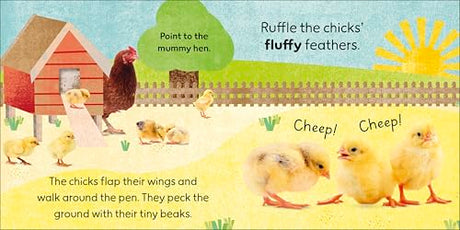 Touch and Feel Baby Animals: With Tactiles for Toddlers to Explore - Retail Maharaj