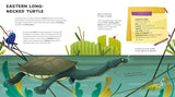 The Amazing Catalog of Weirdest Reptiles - Retail Maharaj