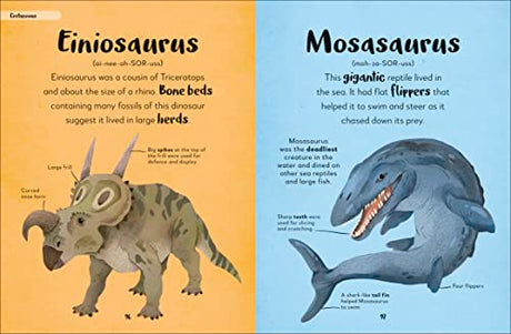 Bedtime Books: A Lovable Introduction to Animals and Dinosaurs - Retail Maharaj