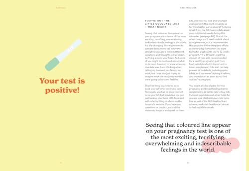 Birthing: The new self-help guide from the author of the bestseller Menopausing to help you through every stage of pregnancy from conception to childbirth to the fourth trimester - Retail Maharaj