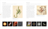 Cosmos: Explore the Wonders of the Universe - Retail Maharaj