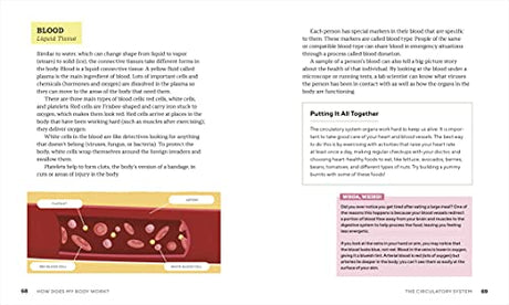 How Does My Body Work? Human Body Book for Kids: STEAM Experiments and Activities for Kids 8-12 - Retail Maharaj