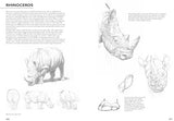Drawing Nature: A Complete Guide (Art of Drawing) - Retail Maharaj