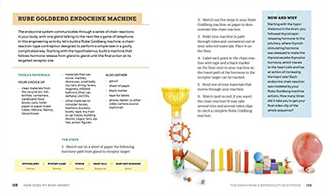 How Does My Body Work? Human Body Book for Kids: STEAM Experiments and Activities for Kids 8-12 - Retail Maharaj