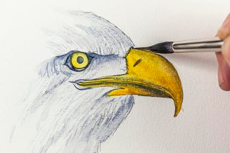 Watercolour Animals for the Absolute Beginner (ABSOLUTE BEGINNER ART) - Retail Maharaj