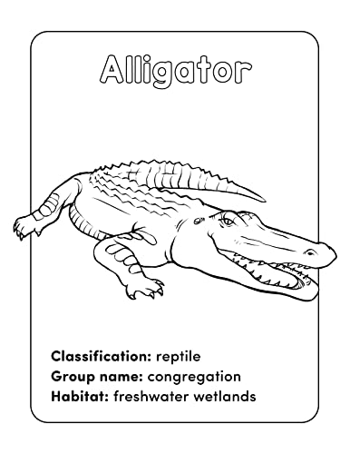 Wild Animal Book for Kids: Coloring Fun and Awesome Facts (A Did You Know? Coloring Book) - Retail Maharaj
