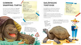 The Amazing Catalog of Weirdest Reptiles - Retail Maharaj