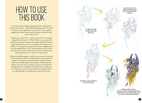 Draw 100 Dragons: From Basic Shapes to Amazing Drawings in Super-easy Steps - Retail Maharaj