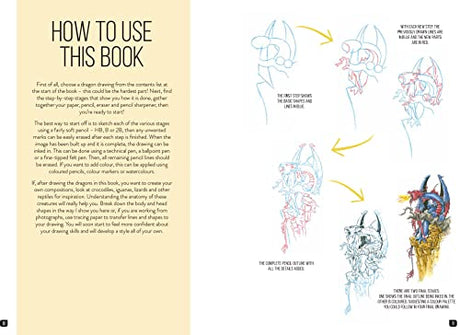 Draw 100 Dragons: From Basic Shapes to Amazing Drawings in Super-easy Steps - Retail Maharaj