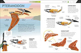How to Build LEGO Dinosaurs: Go on a Journey to Become a Better Builder - Retail Maharaj