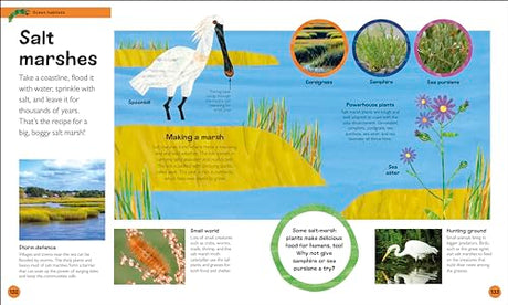 The Very Hungry Caterpillar's Very First Ocean Encyclopedia: An Introduction to the Ocean, for Very Hungry Young Minds - Retail Maharaj
