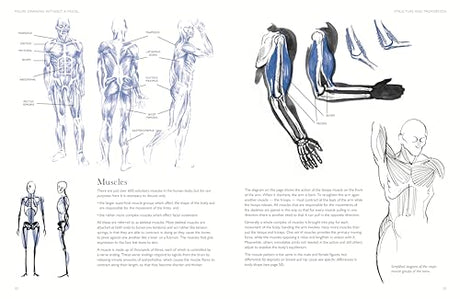 Figure Drawing without a Model: Anatomy, Movement and Character Expression from Memory and Imagination. - Retail Maharaj