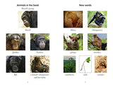 Penguin Readers Level 3: Dynasties: Chimpanzees (ELT Graded Reader) - Retail Maharaj