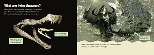 Living Dinosaurs: Band 08/Purple (Collins Big Cat) - Retail Maharaj