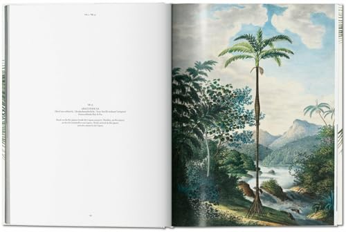 Martius. The Book of Palms - Retail Maharaj