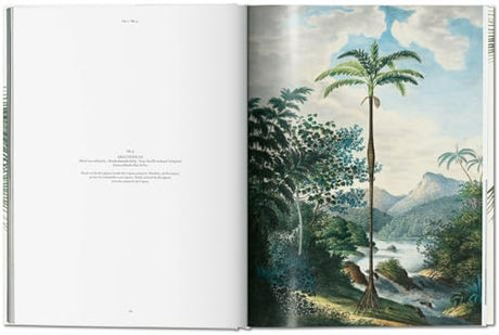 Martius. The Book of Palms - Retail Maharaj