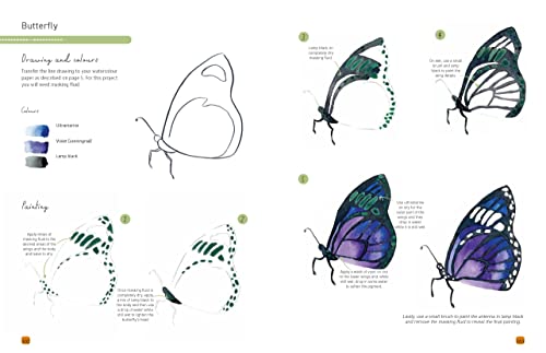 Paint 50: Watercolour Animals: From basic shapes to amazing paintings in super-easy steps - Retail Maharaj