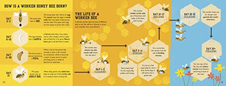 The Bee Book (Conservation for Kids) - Retail Maharaj
