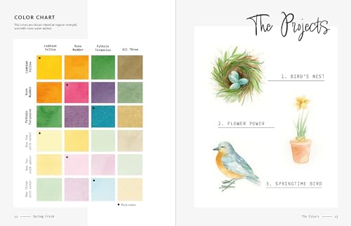 3-Color Watercolor: 30 Color-Mixing Masterpieces - Retail Maharaj