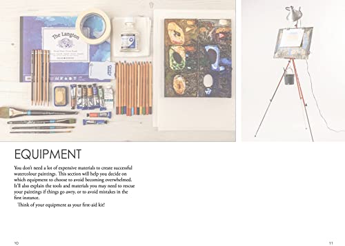 Charles Evans' Watercolour Rescue - Retail Maharaj