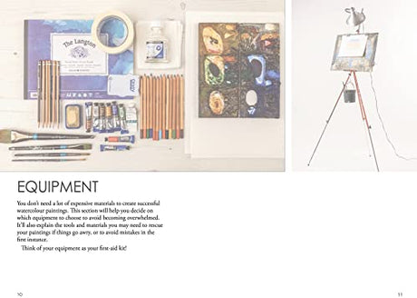 Charles Evans' Watercolour Rescue - Retail Maharaj