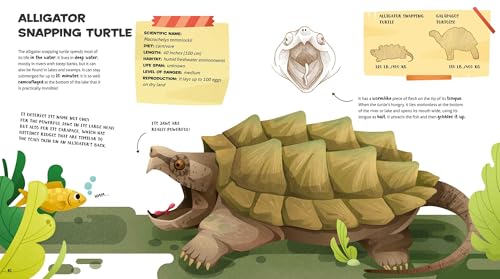 The Amazing Catalog of Weirdest Reptiles - Retail Maharaj