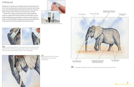 Watercolour Animals for the Absolute Beginner (ABSOLUTE BEGINNER ART) - Retail Maharaj