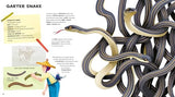The Amazing Catalog of Weirdest Reptiles - Retail Maharaj