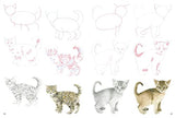 How to Draw: Kittens - Retail Maharaj
