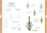 Botanicals: Draw over 50 Plants in 10 Easy Steps (10 Step Drawing) - Retail Maharaj