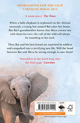 The Child's Elephant - Retail Maharaj