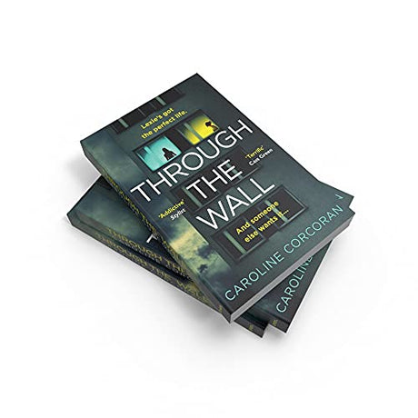 Through the Wall: Spring, Summer (Cloth-Covered, Flexible Binding) - Retail Maharaj