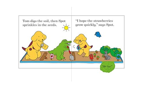 Find Spot in the Garden: A lift-the-flap book - Retail Maharaj