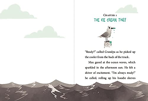 Wind Riders #1: Rescue On Turtle Beach - Retail Maharaj