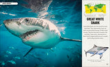 Amazing Animal Journeys: The Most Incredible Migrations in the Natural World - Retail Maharaj