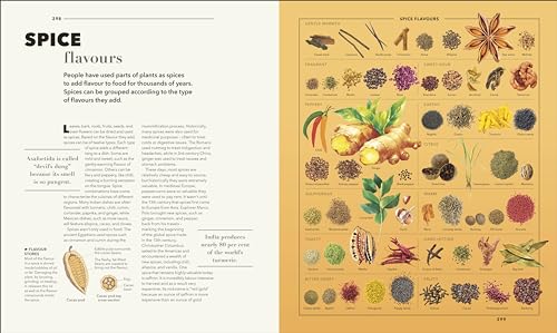 Knowledge A Visual Compendium: Making Sense of our World - Retail Maharaj