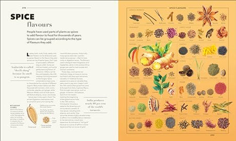 Knowledge A Visual Compendium: Making Sense of our World - Retail Maharaj