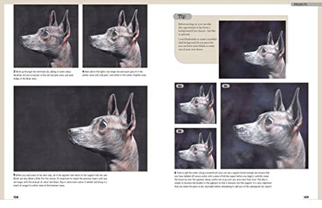Drawing Animal Portraits in Coloured Pencil - Retail Maharaj