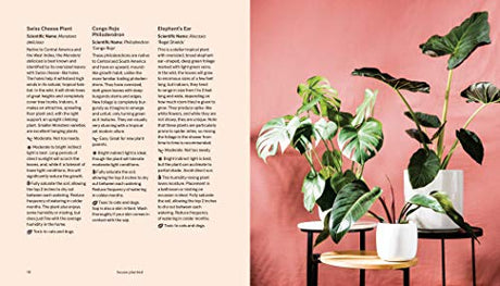 House Planted: Choosing, Growing, and Styling the Perfect Plants for Your Space - Retail Maharaj