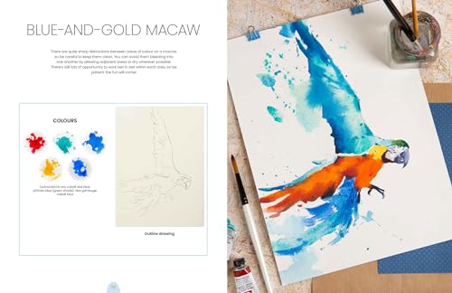 Simply Paint Birds: A Complete Watercolour Course for Beginners - Retail Maharaj