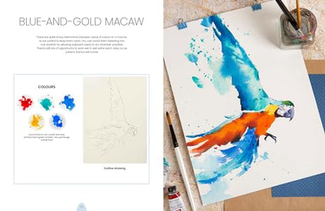 Simply Paint Birds: A Complete Watercolour Course for Beginners - Retail Maharaj