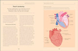 Heart: An Owner's Guide: The Irish Times Number 1 Bestseller - Retail Maharaj