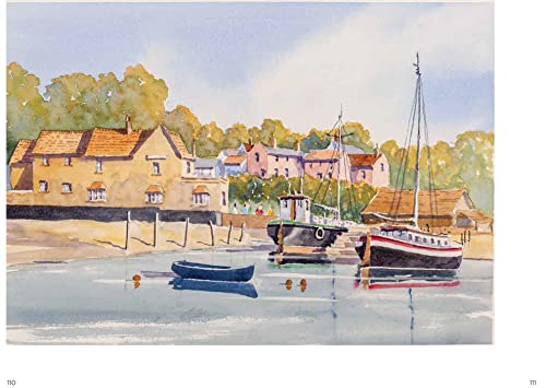Charles Evans' Watercolour Rescue - Retail Maharaj