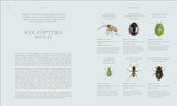 RES Insects: Discover the Science and Secrets Behind the World of Insects - Retail Maharaj